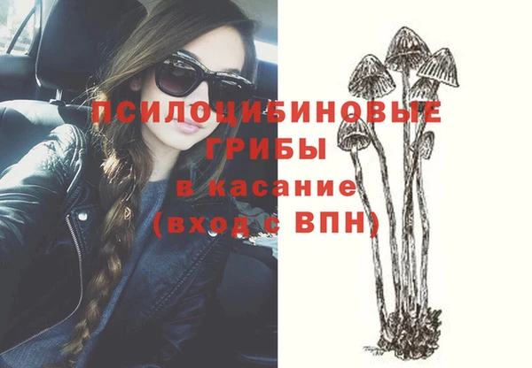 трава Армянск